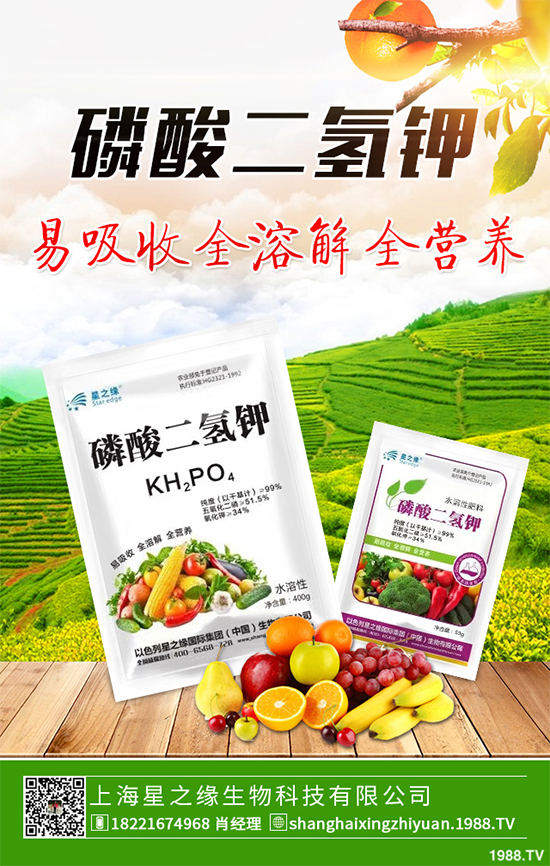 花椰菜花球出現(xiàn)異常是什么原因？該如何解決？快來(lái)看看吧！