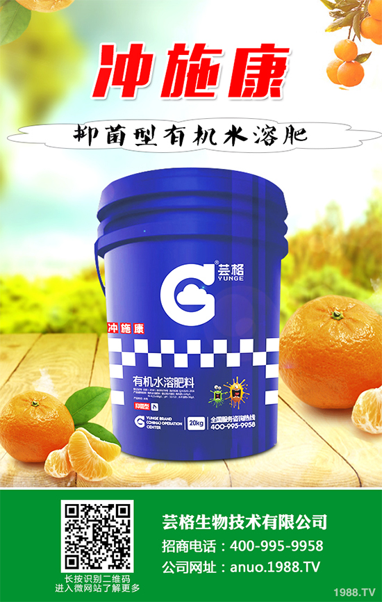 花椰菜生長異常到底是咋回事？快來看看該如何預防！