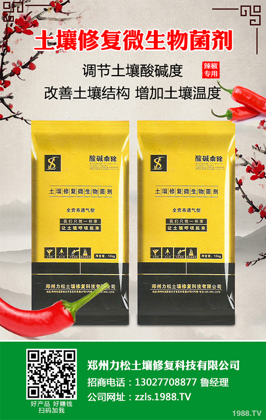 花椰菜軟腐病危害來襲，有沒有好的防治方法？快來看看吧！