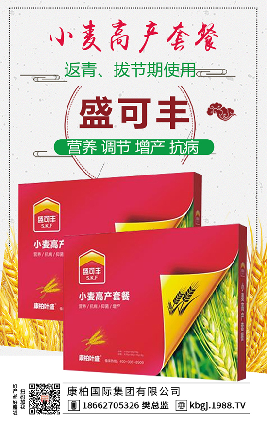 康柏國際集團(tuán)有限公司