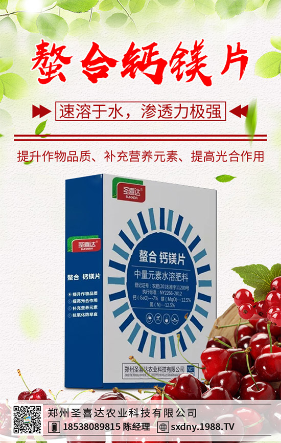 ���E��ʲô�@ô���˚gӭ�����E���Ј��������