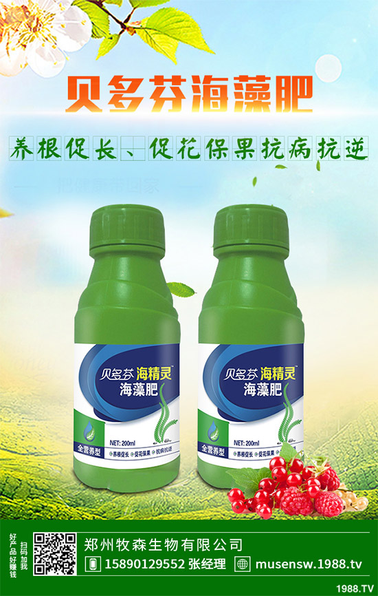 ���E��ʲô�@ô���˚gӭ�����E���Ј��������