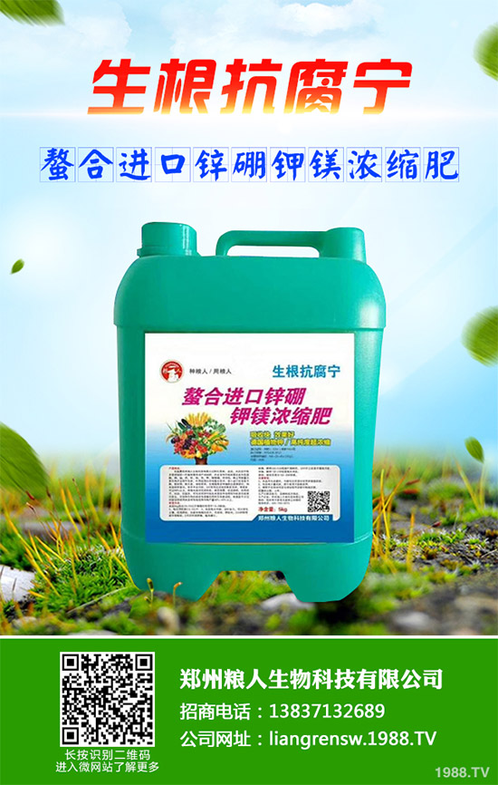 ���E����Щ�I(y��ng)�B(y��ng)�r(ji��)ֵ�����E�ĠI(y��ng)�B(y��ng)�r(ji��)ֵ����Ч����