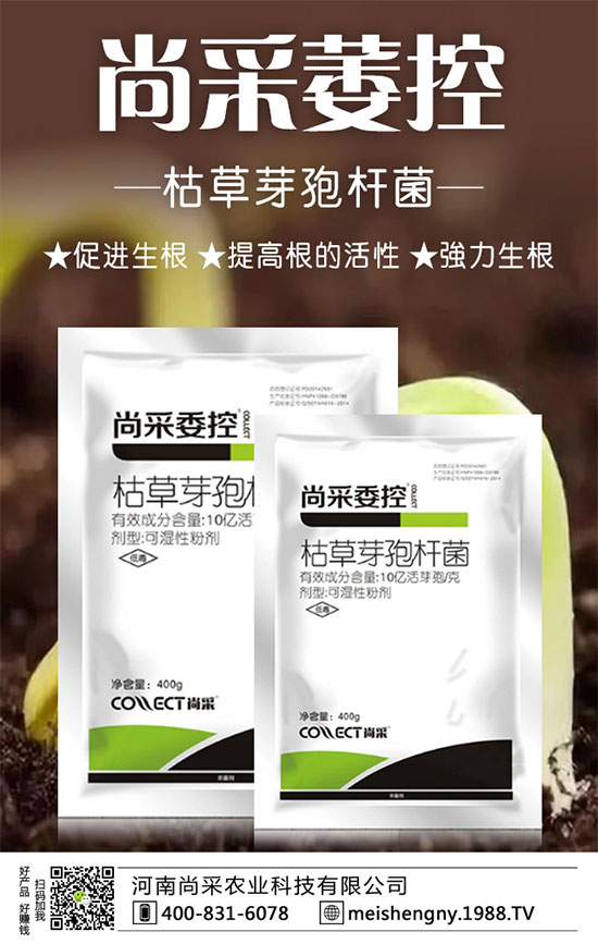 �����ݮ���ɼ����������������ݮʩ��Ҫ�c��