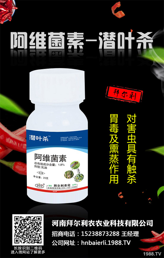 �ɘ䚢�x���r(ji��)��