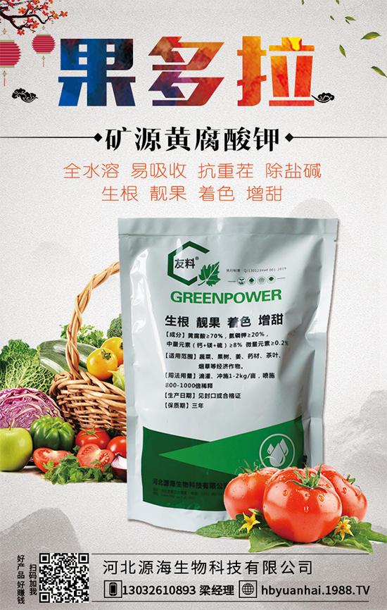 大蒜今日價(jià)格多少錢一斤?2020年大蒜種植前景如何?