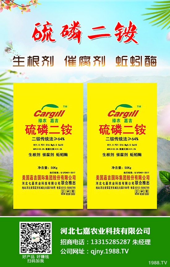 盆栽草莓怎么施肥，盆栽草莓施肥方法有哪些