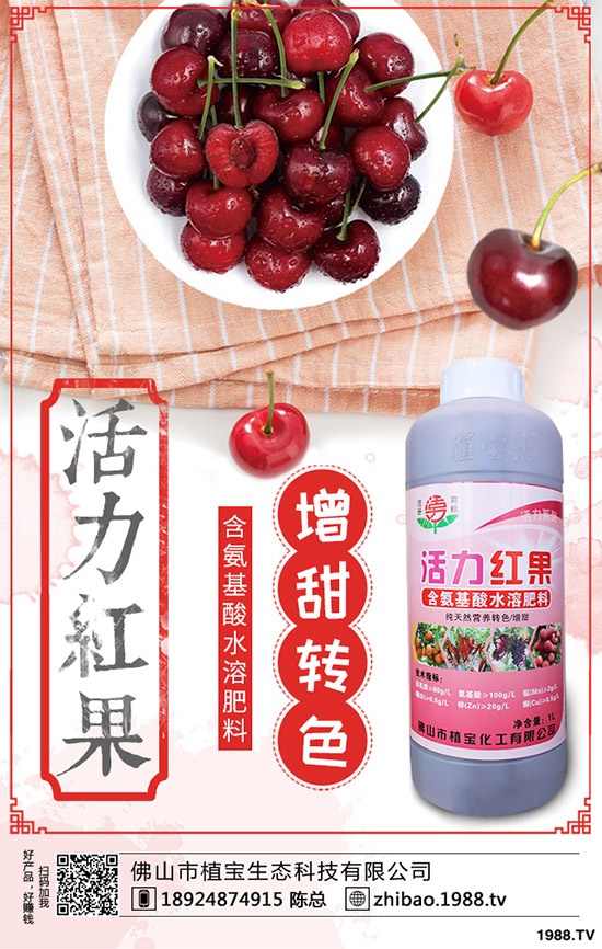 豆角歇伏什么原因？如何應(yīng)對(duì)豆角歇伏？