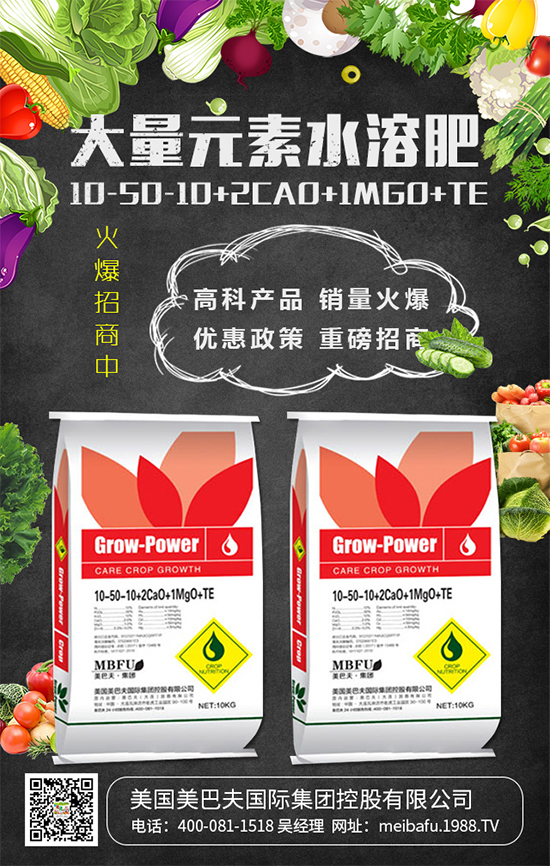 2020年種植什么蔬菜掙錢嗎？2020年種植什么蔬菜前景好？