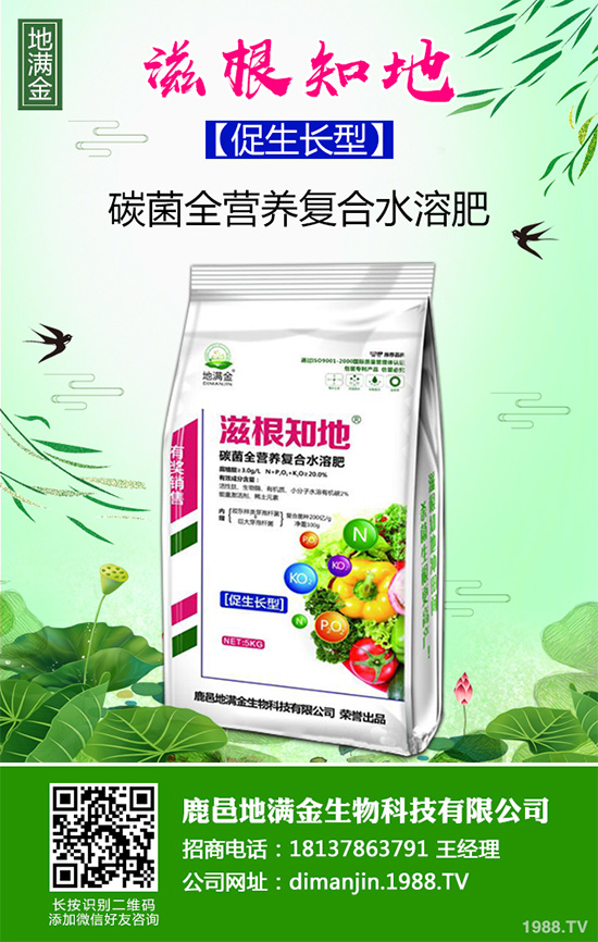 ���G�Ӷ����Xһ����2020�����G�ӷNֲǰ����Ч�����