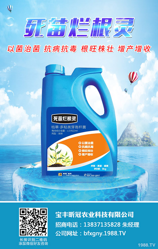 ��÷ʩ�ʕr�g��ʲô�r������÷ʩ�ʷ�������Щ��