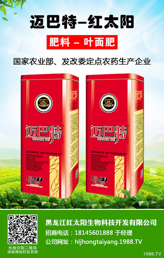 ���}�Nֲ��ýY(ji��)����һ��Y(ji��)�״ι������}�Nֲ������