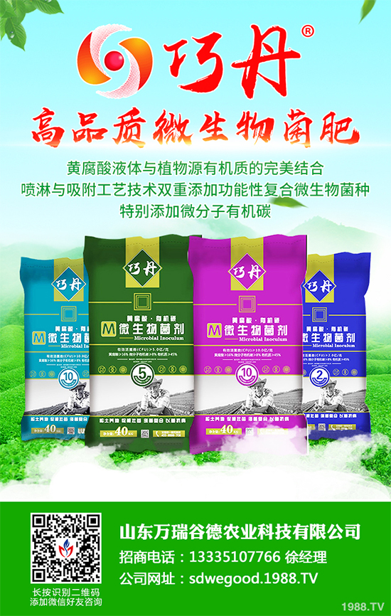 ؕ������Щ���湦Ч��ؕ�ջ��Ĺ�Ч�����c����