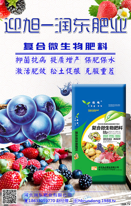 今日磷銨價(jià)格行情走勢及后市預(yù)測2019.12.18