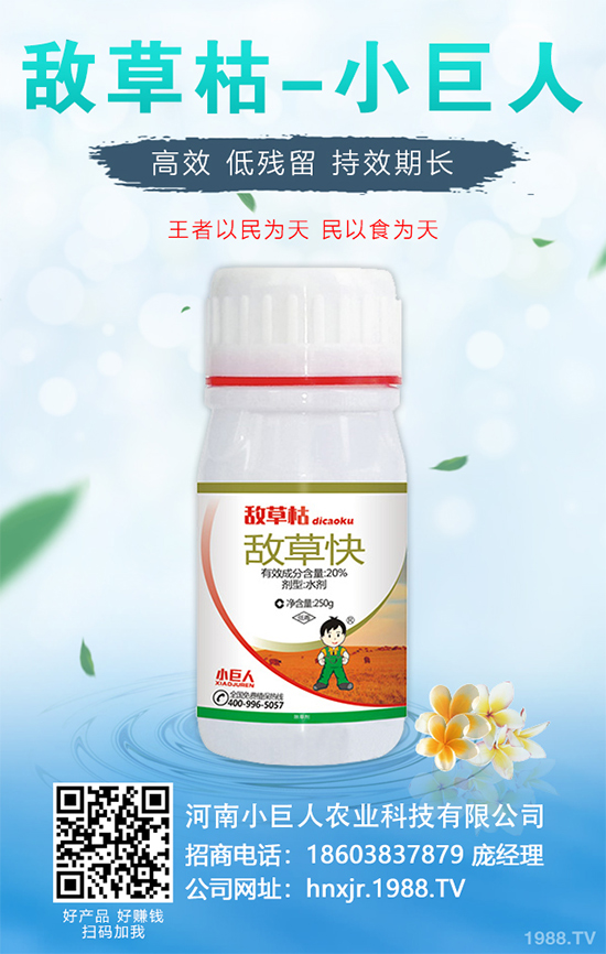 無花果種植行情怎么樣？如果能實現(xiàn)種植高產(chǎn)？