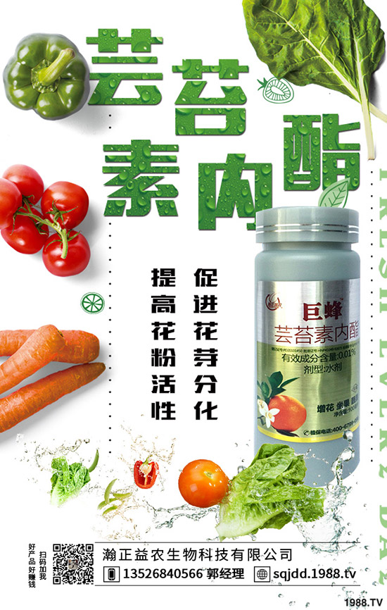 大棚蔬菜采光率低危害，如何提高大棚蔬菜采光率？