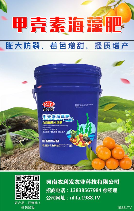 Ģ���Nֲ��Ҫʲô�l����Ģ���Nֲ�h(hu��n)��Ҫ��