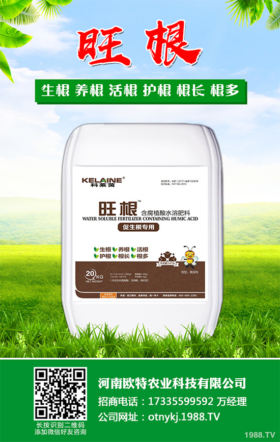 Ģ���Nֲ��Ҫʲô�l����Ģ���Nֲ�h(hu��n)��Ҫ��