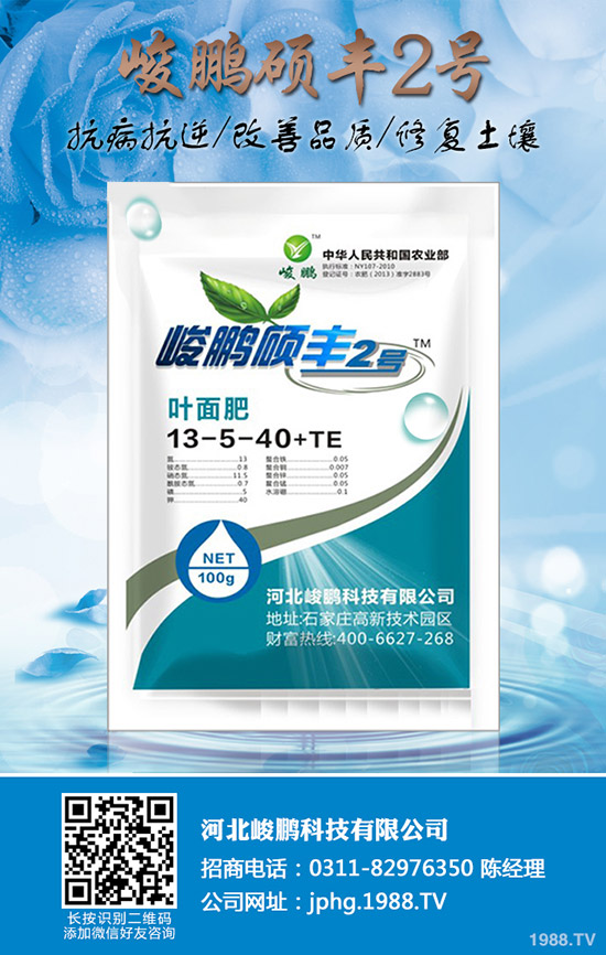 ����ʲô�r(sh��)��׷�ʣ�����׷��ע��Ҫ�c(di��n)��