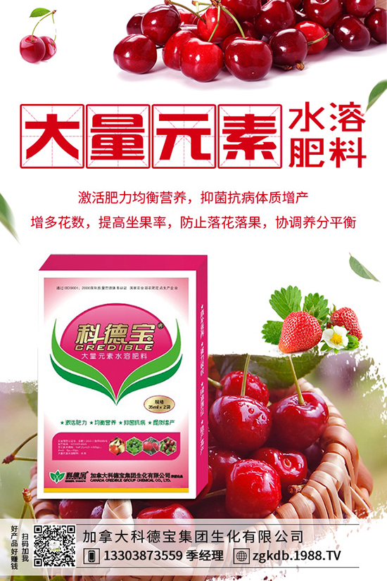 2019-12-21���؃r������ӑB(t��i)�������Xһ����