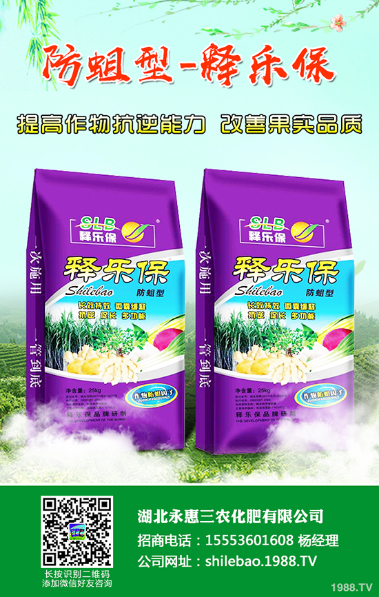 ���@�r��Ҫ�q�������؅^(q��)���@���S��rһ�[2019-12-21