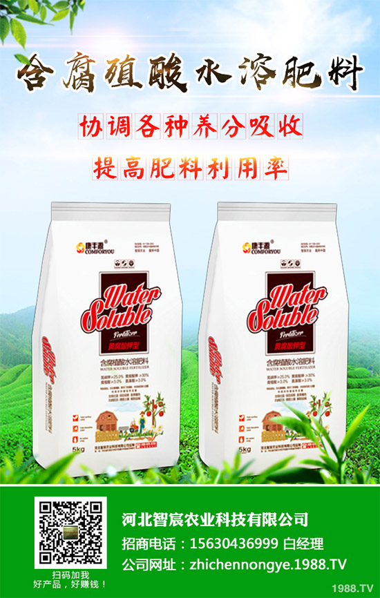 �G����ԓ��ô�N���G���˵ĸ߮a(ch��n)�Nֲ���g