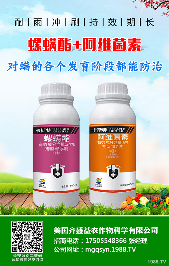 ؐ˹���M���Y���K����3.63�|Ԫ ���ڶ������`�������x���µ�ϵ�Юa(ch��n)Ʒ�Ŀ�Č�ʩ