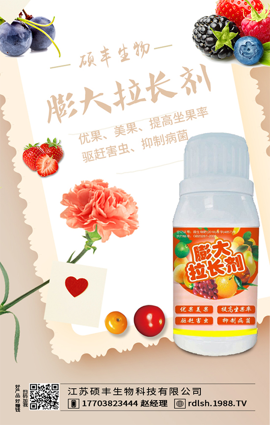 大棚西芹怎么種植？西芹的種植環(huán)境要求！