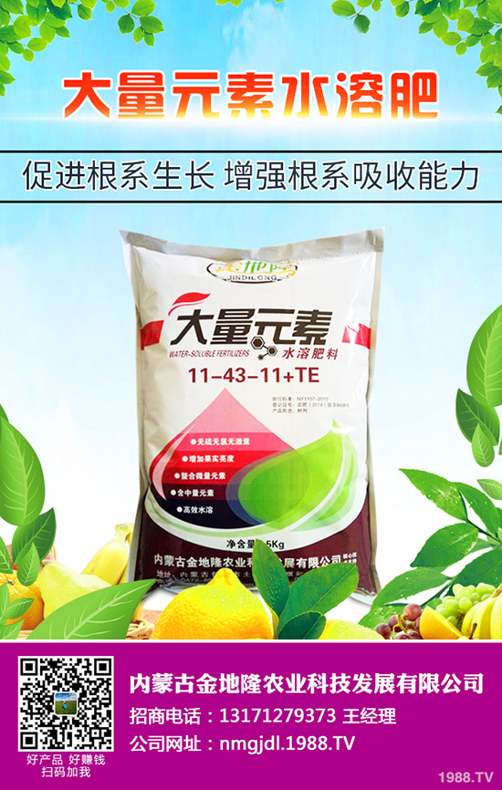 2020春玉米更佳播種時(shí)間,春玉米的播種技術(shù)要點(diǎn)