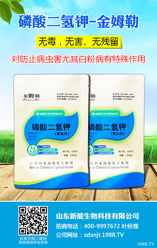 魔芋價(jià)格多少錢一斤？2020年魔芋種植的市場(chǎng)行情