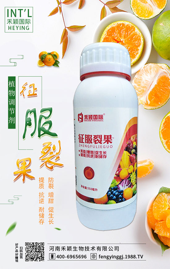 ľ����ʲô�r�g�Nֲ��ľ���˷Nֲ������