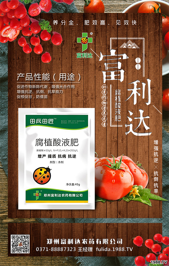 �Nֲʲôˎ����ٍ�X��2020����ˎ�ķNֲǰ������