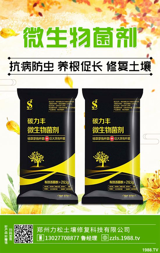 �Nֲʲôˎ����ٍ�X��2020����ˎ�ķNֲǰ������