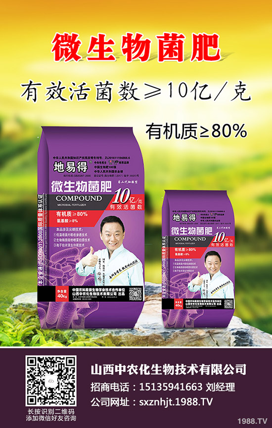     2020早春玉米在那些地區(qū)種植合適？春玉米種植播種時期及技術(shù)要點！