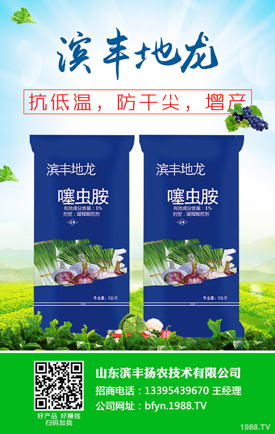     2020年早春玉米適合種植品種？如何育苗？春玉米育苗移栽技術(shù)！