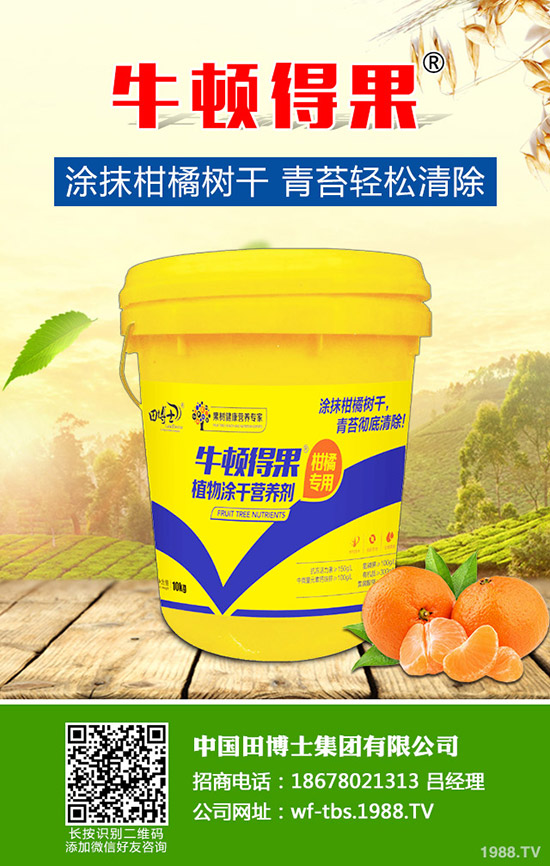 2020種草莓賺錢嗎？草莓種植的成本及前景預(yù)測！