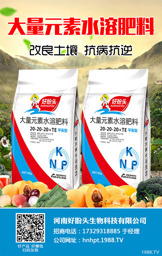 ������֪���Ľ�ɏ���p���ų����w11�N���أ�