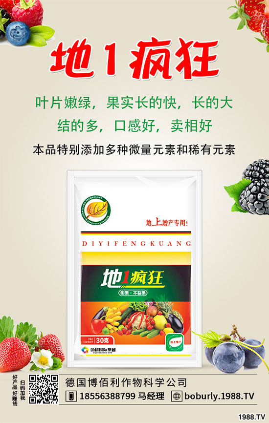 山藥豆的功效與作用有哪些，哪些人不適合吃山藥豆？