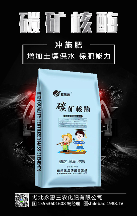 �����롰���������������ʲ����^�L������������