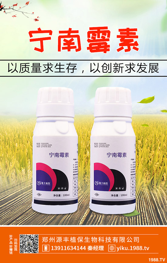 葛根的種植前景怎么樣，葛根的種植技術(shù)有哪些？