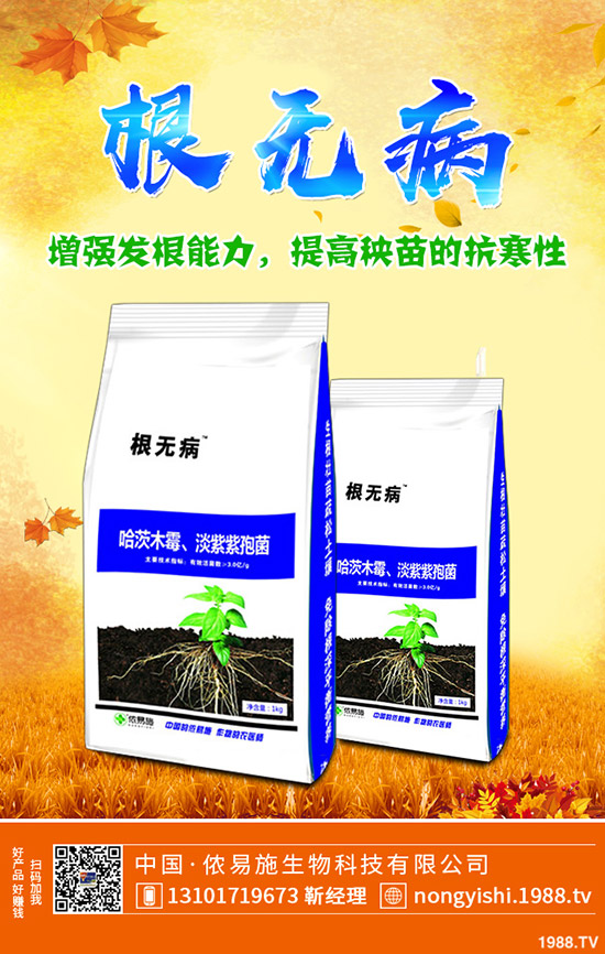 �ڗ��ķNֲҪ�c(di��n)����Щ���ڗ������g����