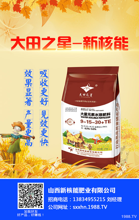     2020年早春辣椒什么時候種植？育苗技術(shù)及苗期管理要點！