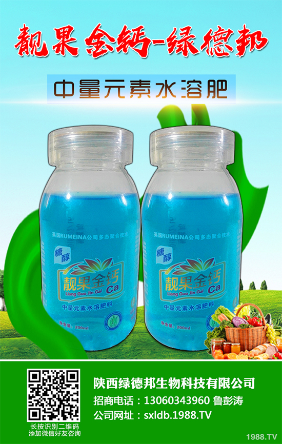 �����߲�����ЩƷ�N�������߲˵ķNֲ�l����ע�����