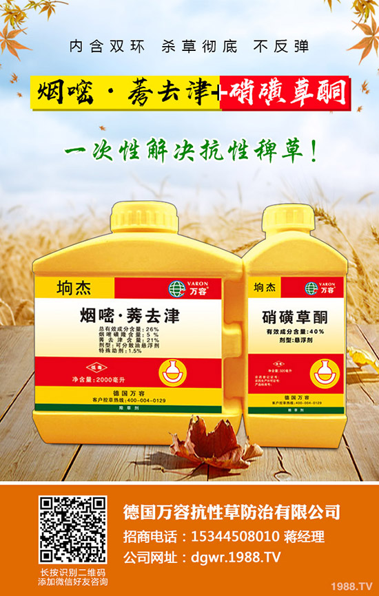 ������Nֲ�ļ���(ji��)�����Ӹ߮a(ch��n)�NֲҪ�c(di��n)��