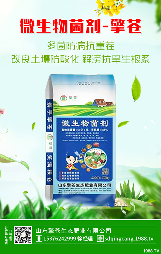     2019-12-7����һ�@�������������һ�@���r(ji��)�����(b��o)��