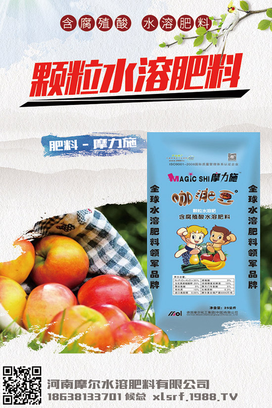 葉面肥種類有哪些，如何正確使用葉面肥？