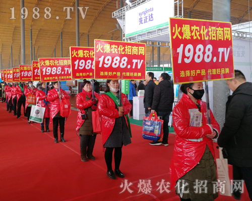     2019��30�úӱ�ֲ����(hu��)�����r(n��ng)���W(w��ng)Ҋ�C�ИI(y��)ʢ��(hu��)�ل�(chu��ng)�ѿ�(j��)��