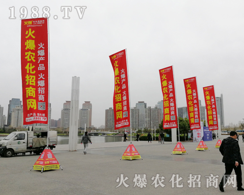     2019���ϴ���ֲ����(hu��)���r(n��ng)���W(w��ng)���P(y��ng)�ķ���