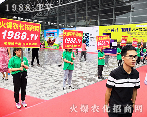     ���r(n��ng)�����̾W(w��ng)��2019�����r(n��ng)�Y��(hu��)�����G�ؼ����ի@�M�M