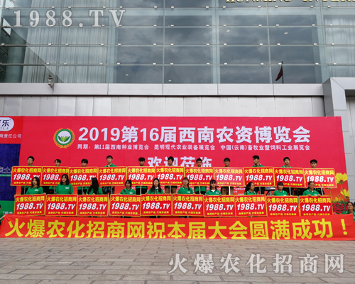     2019�����r(n��ng)�Y���[��(hu��)�����r(n��ng)���W(w��ng)�������o(w��)̎����